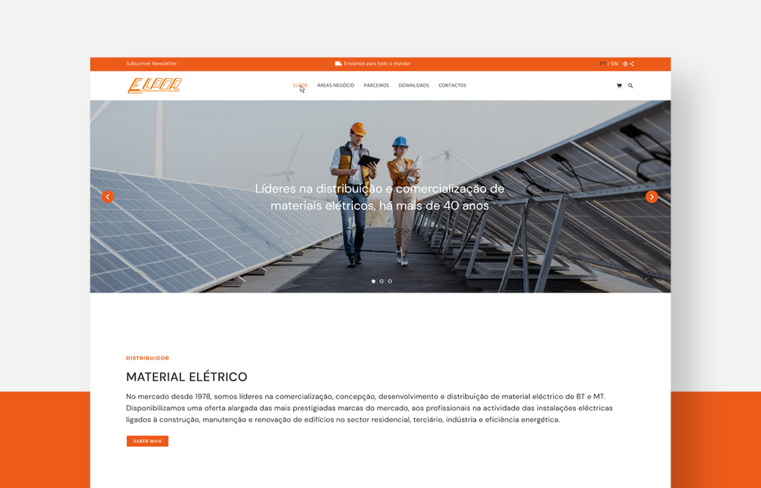 Multisnet desenvolvimento de website corporativo - ELPOR (2)