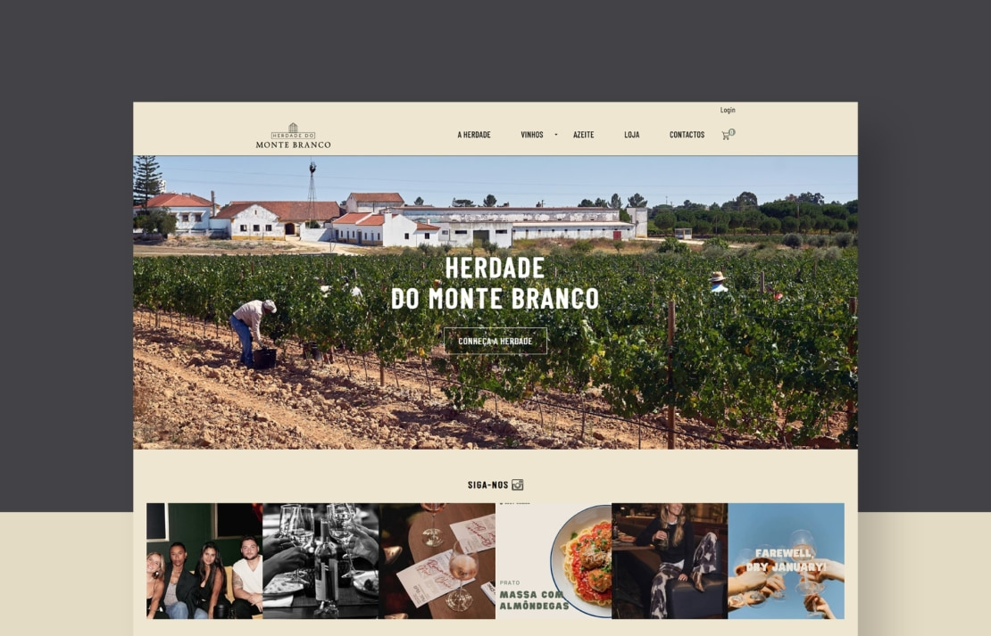 Multisnet desenvolvimento de loja online - Herdade do Monte Branco (3)