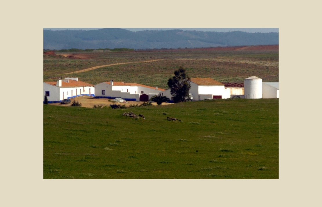 Multisnet desenvolvimento de loja online - Herdade do Monte Branco (10)