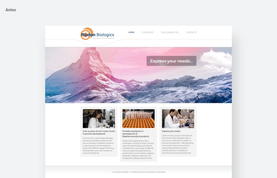 Multisnet desenvolvimento de website corporativo - Rodon Biologics (2253)