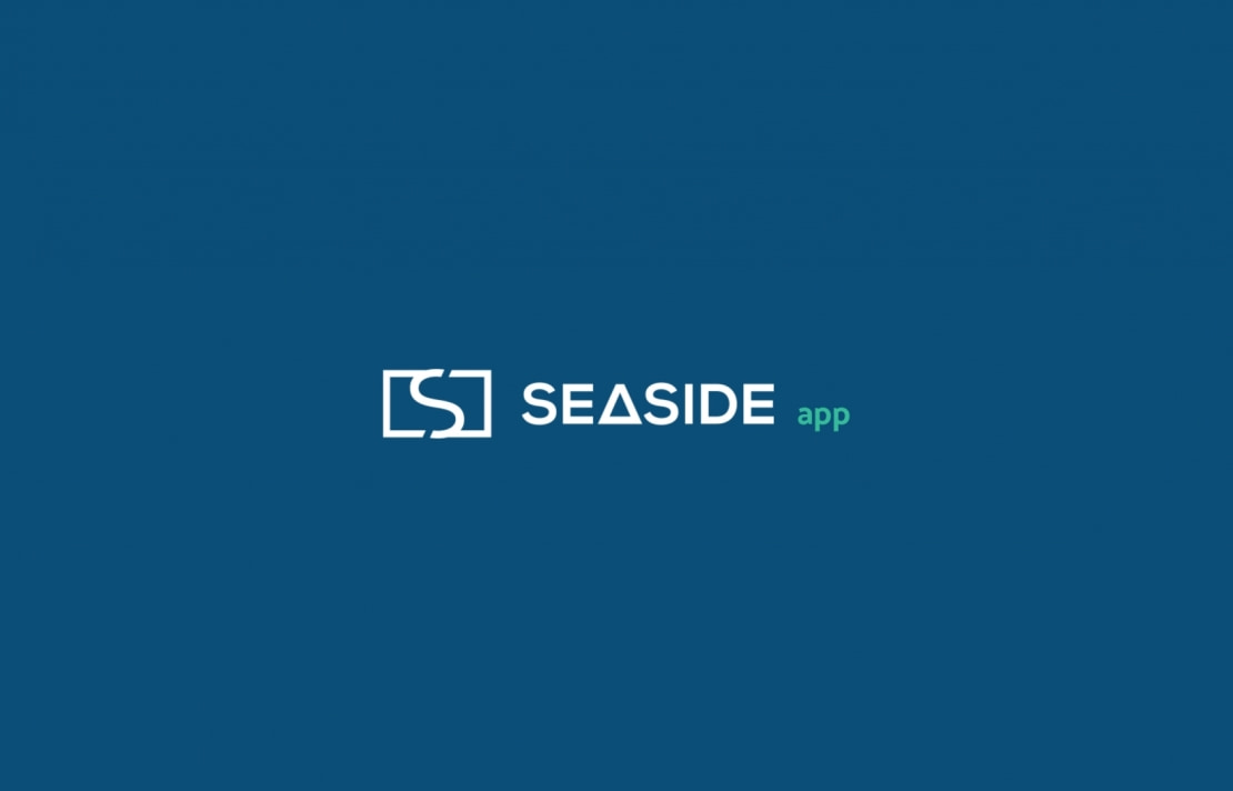Multisnet desenvolvimento de aplicação - Seaside (1)